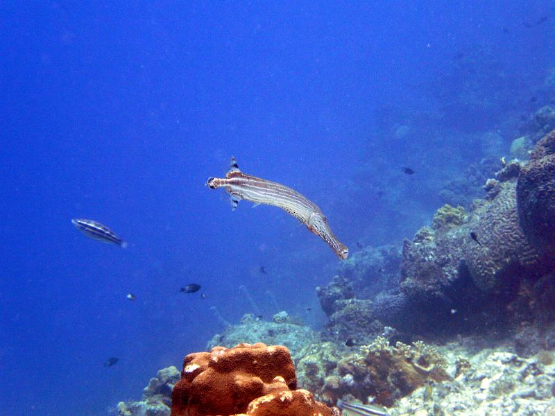 2011-09-11 23-04-17 Steven.JPG